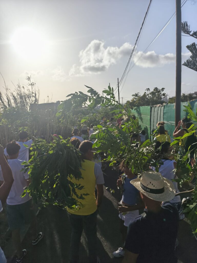 Vecinos con ramas al hombro recorriendo el camino durante La Rama
